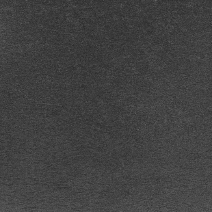 Wolf Charcoal